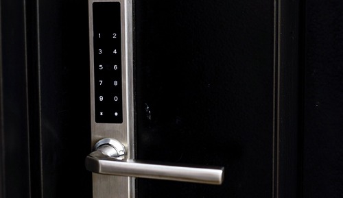 Rosa Mosqueta a pasos de la calle principal