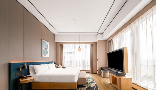 Deluxe Suite, 1 King Bed