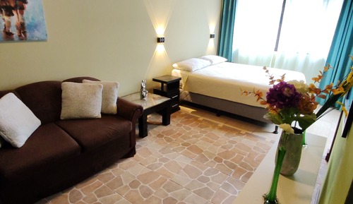 Superior Twin Room, Mountain View