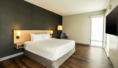 Suite, 1 King Bed with Sofa bed