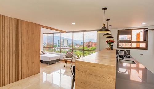 Premium Apartment, Kitchen, City View