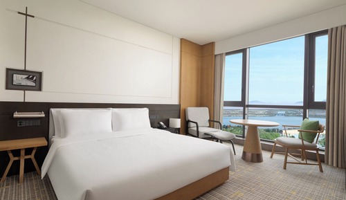 Standard Room, 1 King Bed, City View