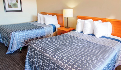 Single Room, 2 Double Beds