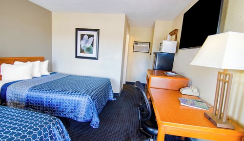 Single Room, 2 Twin Beds