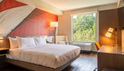 Standard Room, 1 King Bed, Non Smoking