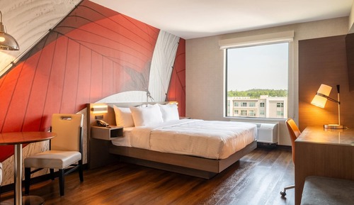 Room, 1 King Bed, Accessible, Non Smoking (Efficiency)