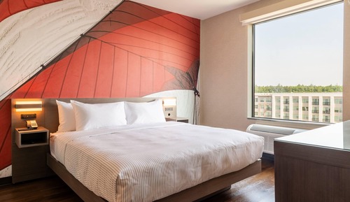Suite, 1 King Bed, Non Smoking (Efficiency)