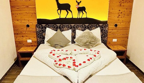 Basic Room, Mountain View