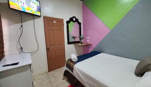 Basic Single Room