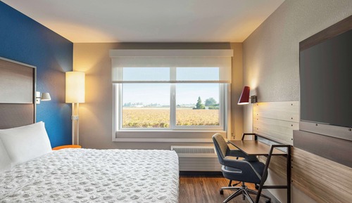 Room, 1 King Bed