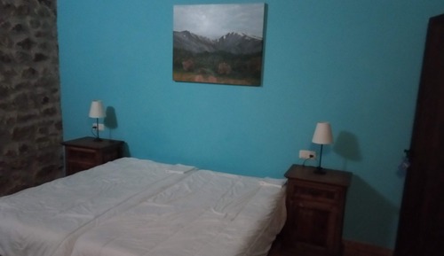 Basic Room, Garden View