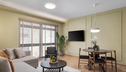Luxury Apartment