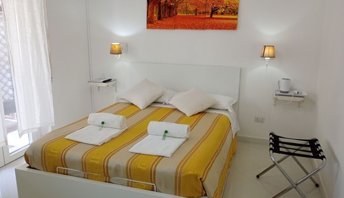 Basic Single Room, Garden View