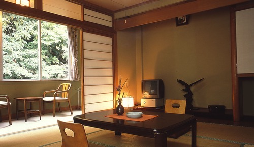 Basic Room, Non Smoking, Mountain View