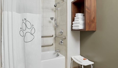 Suite, Accessible, Bathtub (Wolf Pup Den)