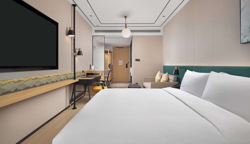 Room, 1 King Bed