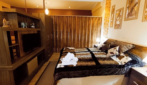Premium Single Room