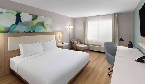 Room, 1 King Bed, Accessible, Non Smoking (Mobility/hearing, Roll-in Shower)