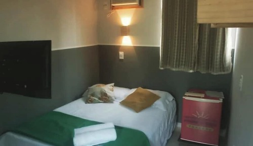 Comfort Studio Suite, 1 Double Bed, Pool View