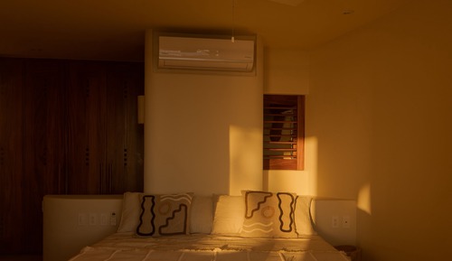 Areca 102