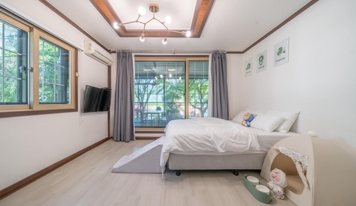 Basic Room, 1 Bedroom (Poodle 2)