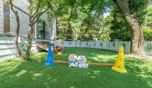 Basic Room, 1 Bedroom (Poodle 3)