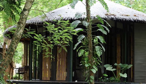 Jungle Villa