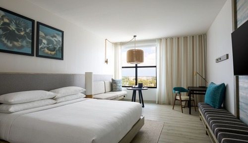 Standard Room, 1 King Bed, Non Smoking