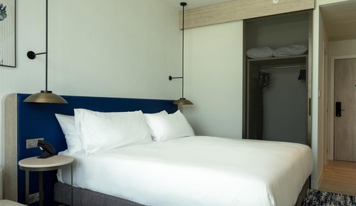 Room, 1 King Bed