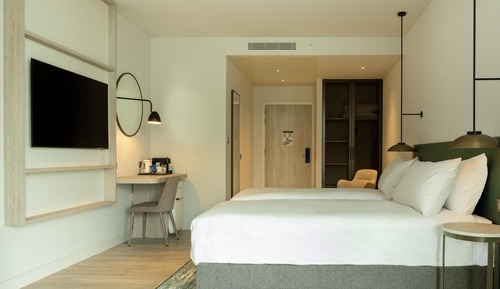 Room, 1 King Bed, Accessible