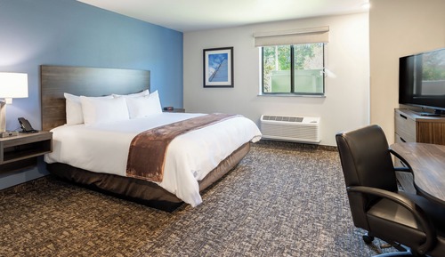 Room, 1 King Bed, Accessible