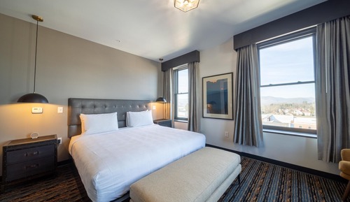 Standard Room, 1 King Bed, Non Smoking, Mountain View