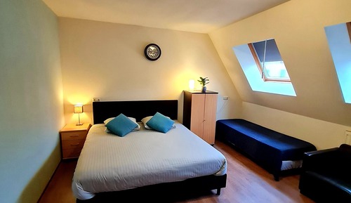 Basic Double Room