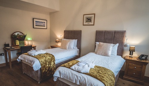 Superior Twin Room