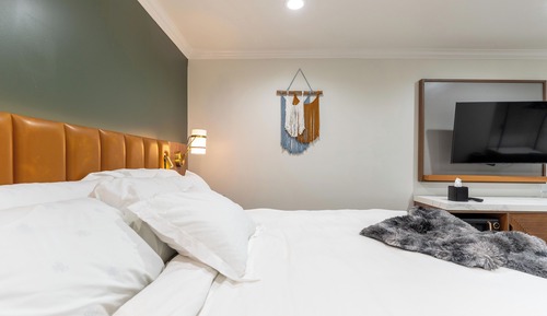 Studio Jr. Suite - 215