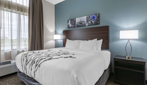 Standard Room, 1 King Bed, Non Smoking