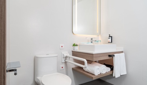 Room, 1 King Bed, Accessible