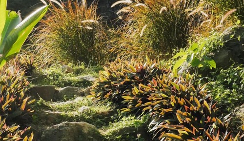Bungalow, Beach View