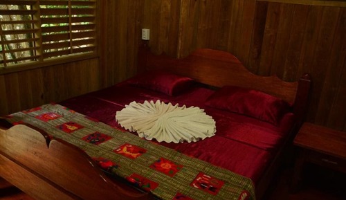 Room, 1 King Bed