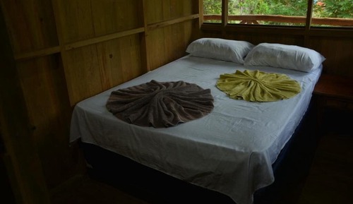 Basic Room, Garden View
