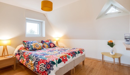 Comfort Apartment