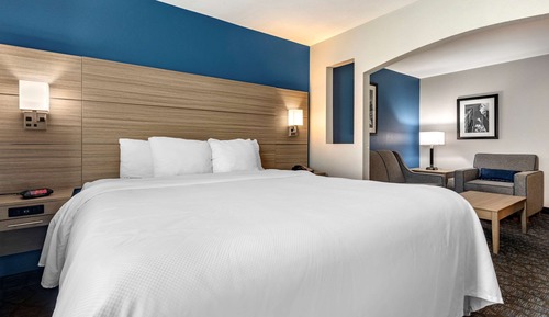 Suite, 1 King Bed with Sofa bed, Non Smoking