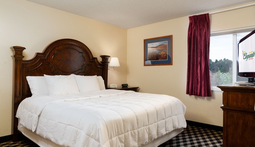 Suite, 1 King Bed