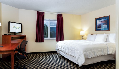 Studio, 1 King Bed, Mountain View