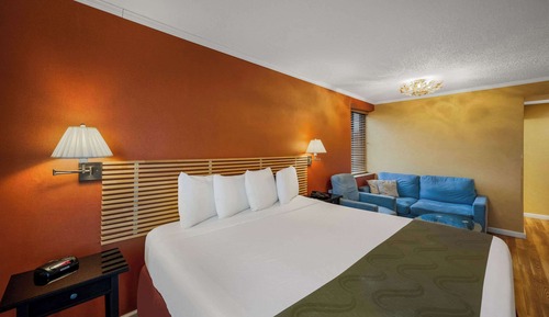 Suite, 1 King Bed, Non Smoking