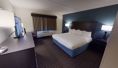 Premier Suite, 1 King Bed, Non Smoking (One-Bedroom Suite)