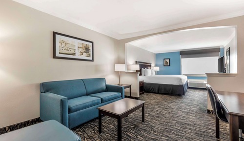 Standard Room, 1 King Bed, Non Smoking, Refrigerator & Microwave (Oversized Room;with Sofabed)