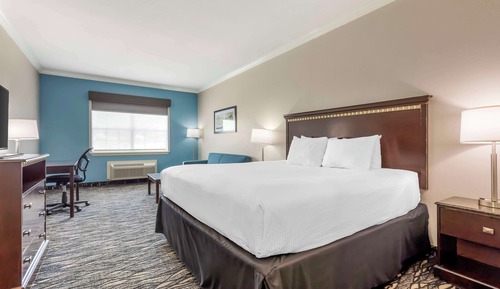 Standard Room, 1 King Bed, Accessible, Refrigerator & Microwave