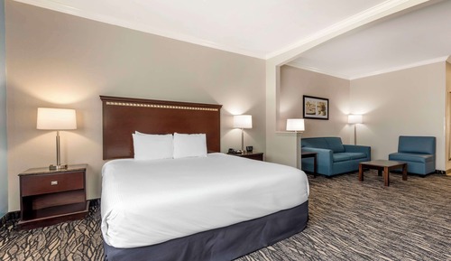 Standard Room, 1 King Bed, Accessible, Refrigerator & Microwave (with Sofabed)