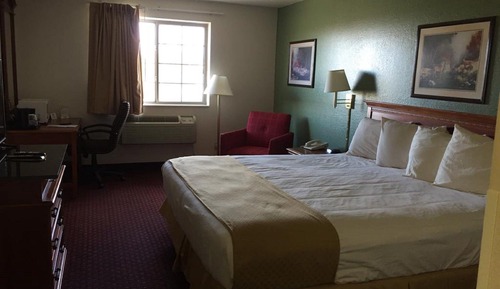 Room, 1 King Bed